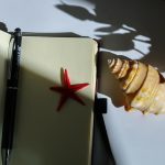 Warm-lit notebook with pen, starfish, and shell casting shadows, evoking travel and tranquility.