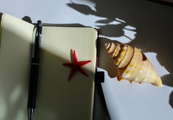 Warm-lit notebook with pen, starfish, and shell casting shadows, evoking travel and tranquility.