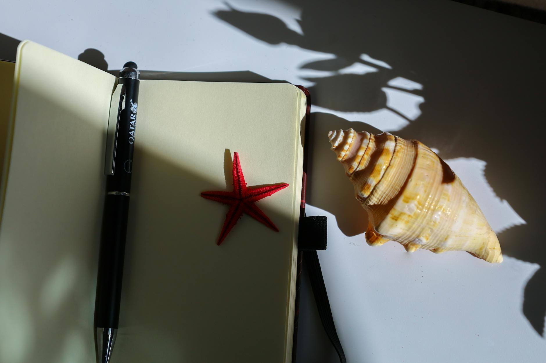 Warm-lit notebook with pen, starfish, and shell casting shadows, evoking travel and tranquility.