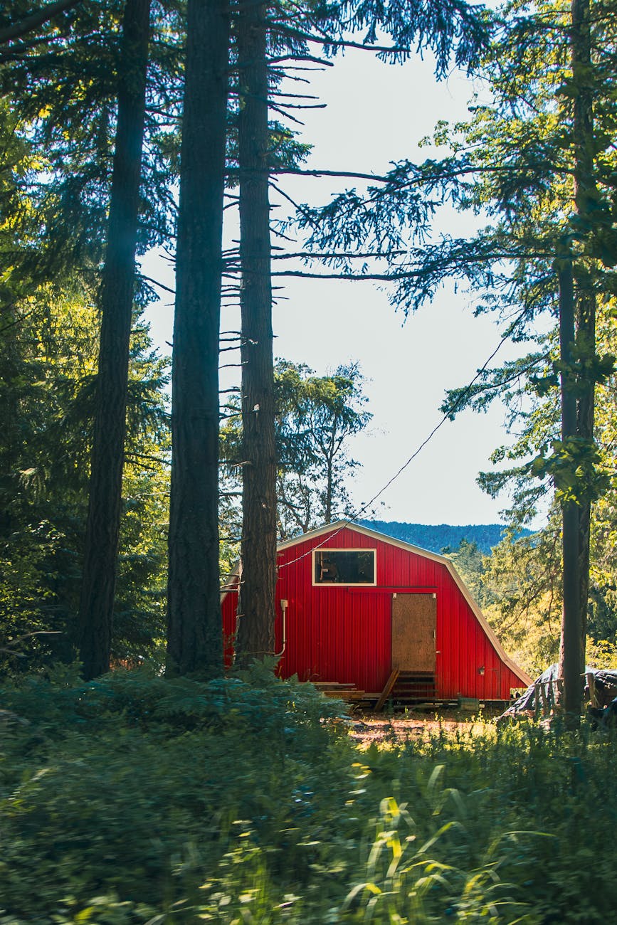 A picturesque red cabin surrounded by tall trees in a sunlit forest setting.