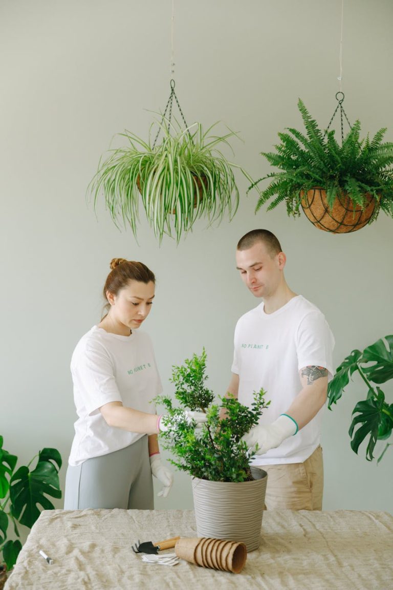 A man and woman engaged in indoor gardening, caring for potted plants.