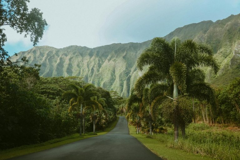 Scenic road in Hawaii with palm trees and mountains, perfect for summer travel enthusiasts.