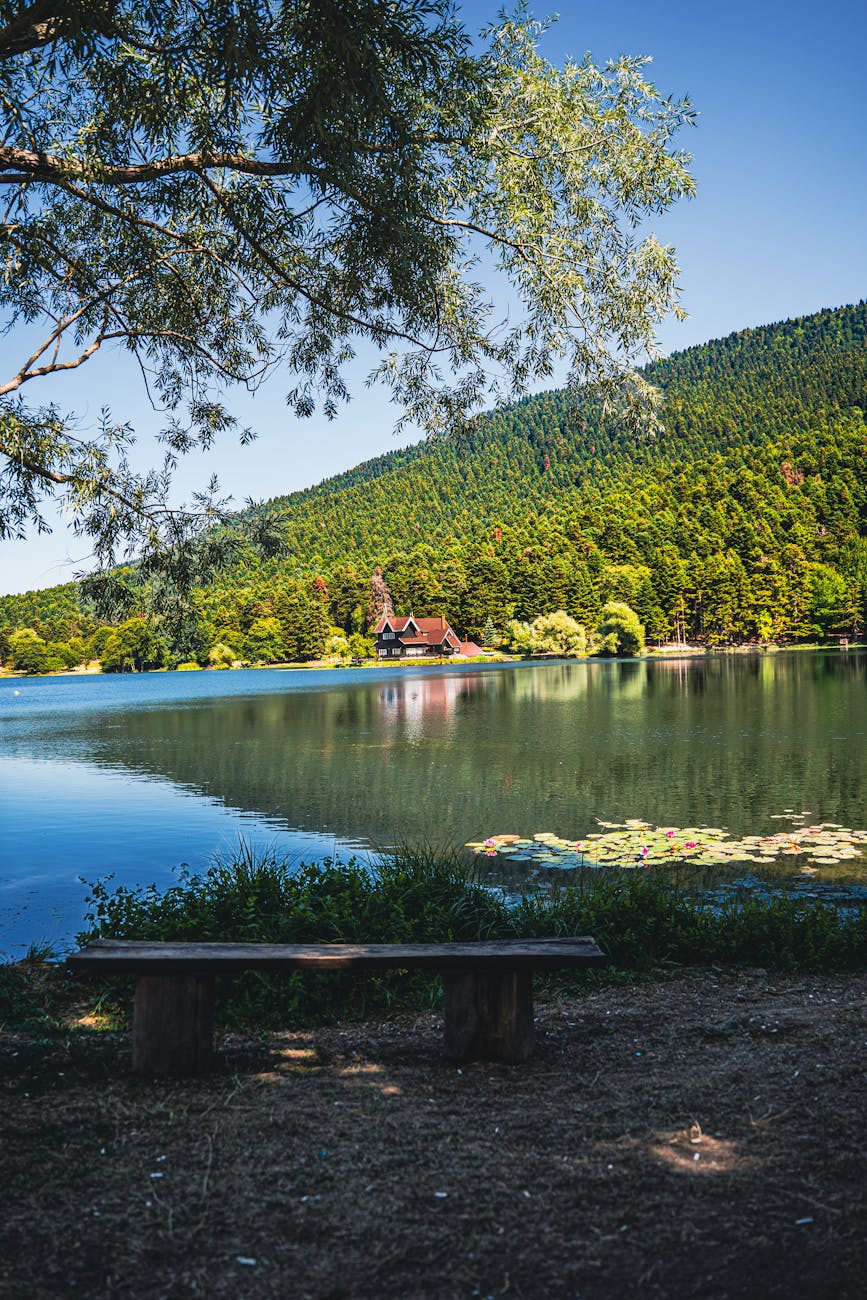 Tranquil lake scene with a mountain lodge and lush greenery under clear summer skies.