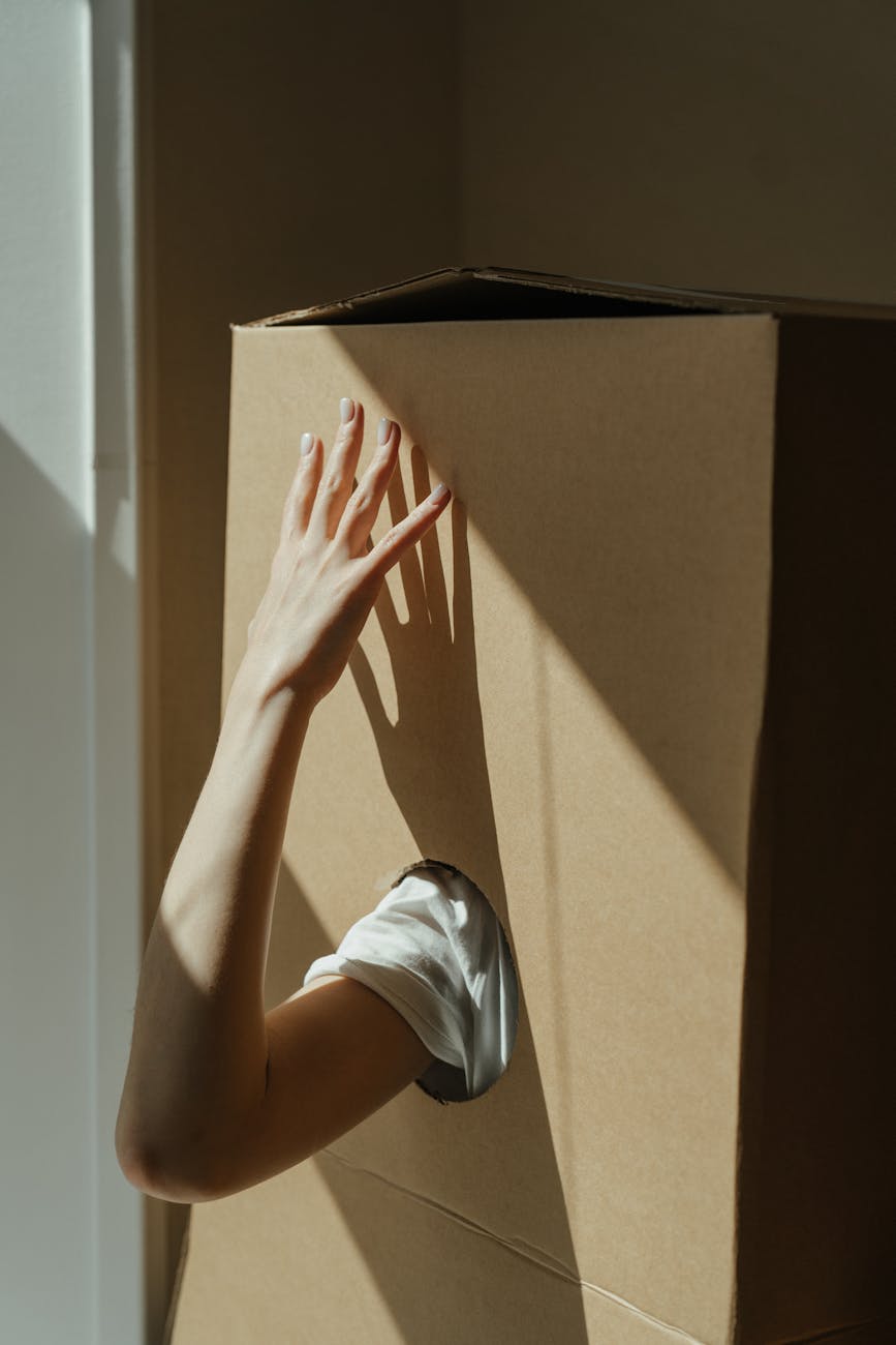 A hand emerging from a cardboard box in sunlight symbolizes creative freedom.